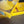 Load image into Gallery viewer, Yun Yan 云烟大重九 Golden Medium

